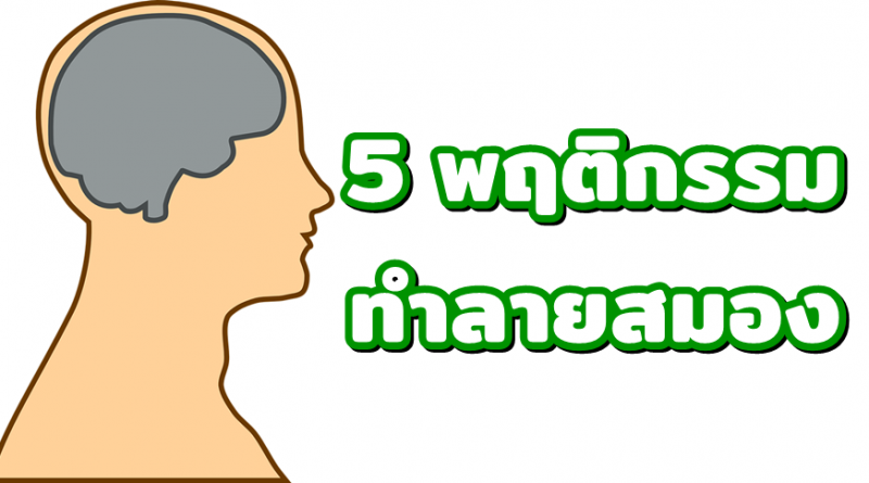 5 พฤติกรรม ทำลายสมอง