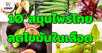 10 สมุนไพรไทยลดไขมันในเลือด