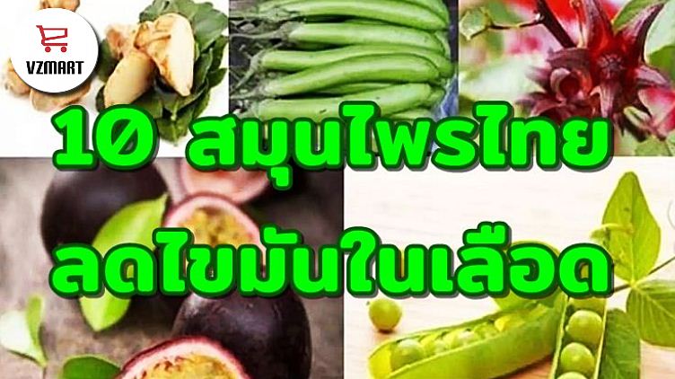 10 สมุนไพรไทยลดไขมันในเลือด