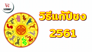 วิธีแก้ปีชง2561