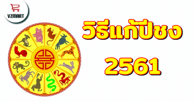 วิธีแก้ปีชง2561