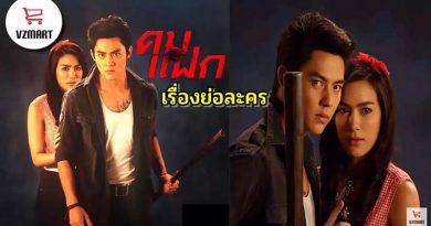 เรื่องย่อ คมแฝก