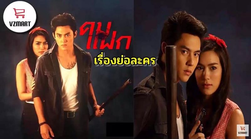 เรื่องย่อ คมแฝก