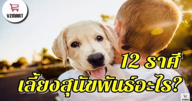 เลี้ยงสุนัขพันธ์อะไร12ราศี