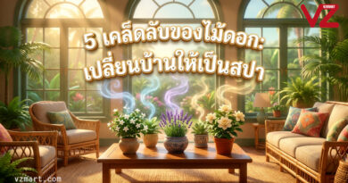 5ความลับของไม้ดอกที่จะเปลี่ยนบ้านคุณให้เป็นสปาธรรมชาติ