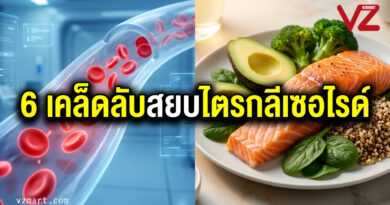6เคล็ดลับสยบไขมันในเลือดชื่อไตรกลีเซอไรด์