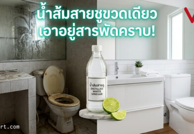 5 ความลับน้ำส้มสายชูและเบกกิ้งโซดาที่เปลี่ยนบ้านคุณให้เหมือนใหม่