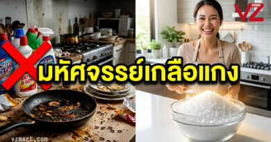 “เกลือ” ฮีโร่ก้นครัวสารพัดประโยชน์: เปลี่ยนงานบ้านให้เป็นเรื่องง่าย ยั่งยืน และปลอดภัยกว่าที่เคย