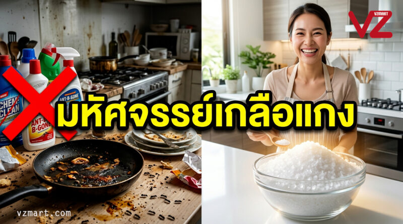 “เกลือ” ฮีโร่ก้นครัวสารพัดประโยชน์: เปลี่ยนงานบ้านให้เป็นเรื่องง่าย ยั่งยืน และปลอดภัยกว่าที่เคย