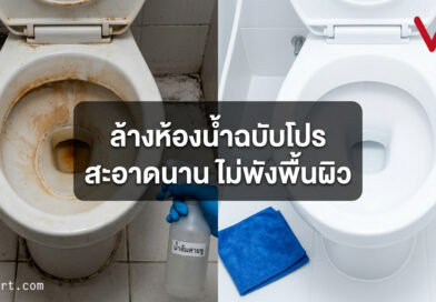 ล้างห้องน้ำแบบเป็นระบบฉบับคนขี้เกียจ สะอาดกริ๊บ ขาวเหมือนใหม่ ประหยัดแรงขึ้น 5 เท่า!